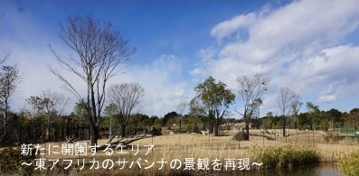 lsphoto