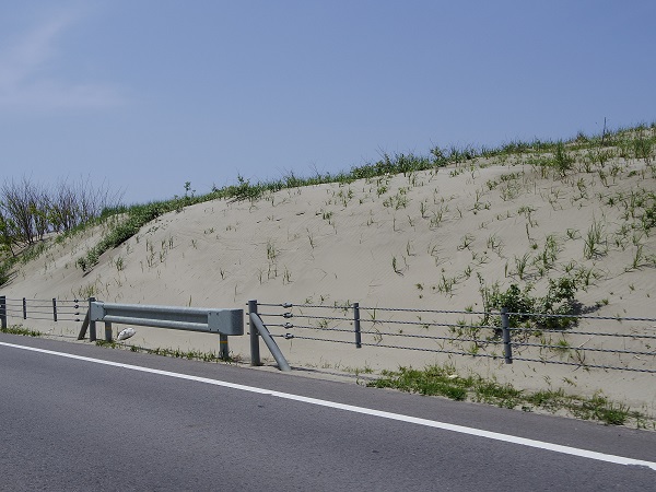 写真1