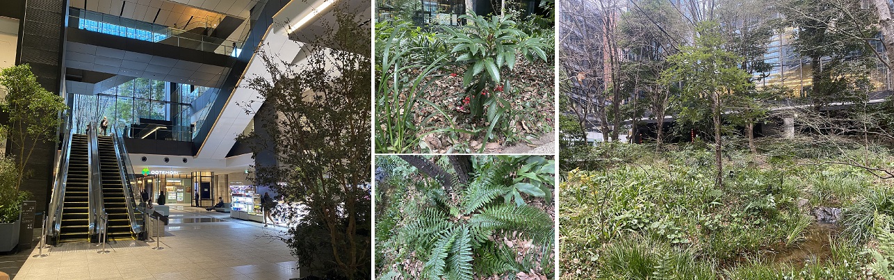 大手町の森