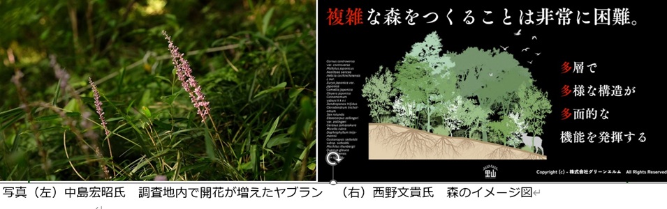 未来の緑化工セミナー5