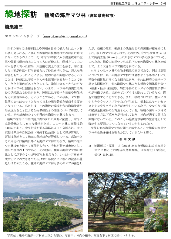 003-4 [緑地探訪] 種崎の海岸マツ林